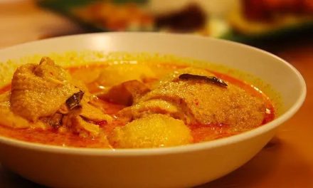 Resep Gulai Santan Kental Di Magic Com, Dijamin Tidak Pecah