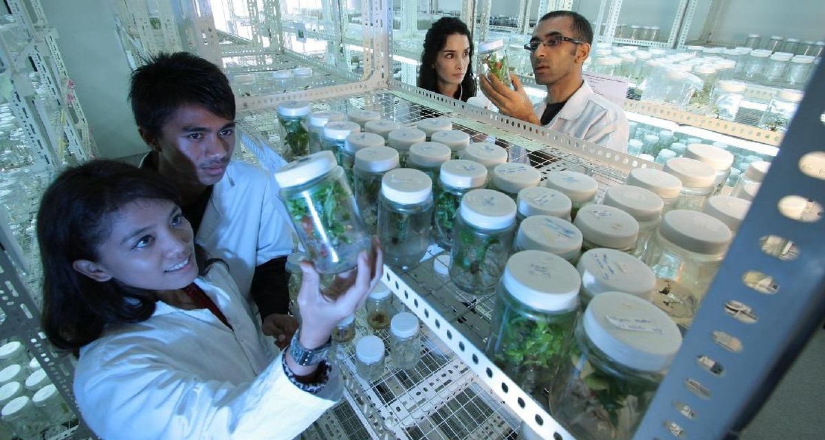 Mahasiswa Jember Berhasil Ciptakan Laboratorium AI Canggih