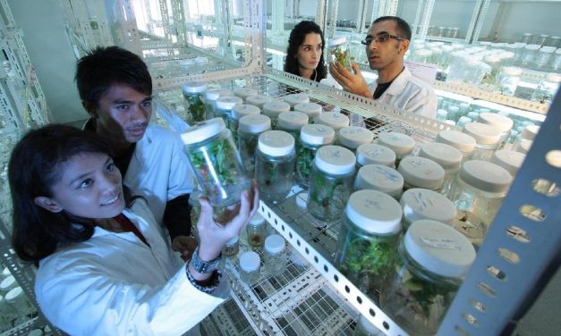 Mahasiswa Jember Berhasil Ciptakan Laboratorium AI Canggih
