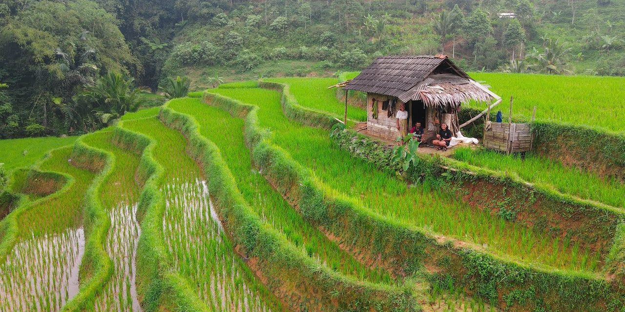 Eksplorasi Ubud Dari Sawah Terasing Hingga Kehidupan Spiritual
