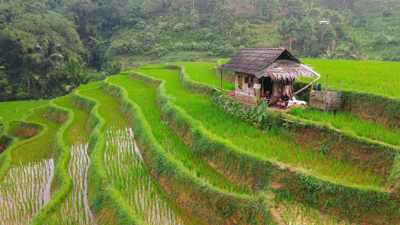 Eksplorasi Ubud
