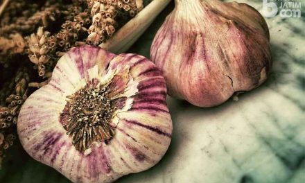 Khasiat Bawang Lanang Bisa Bikin Tubuh Anda Sehat Dan Kuat!