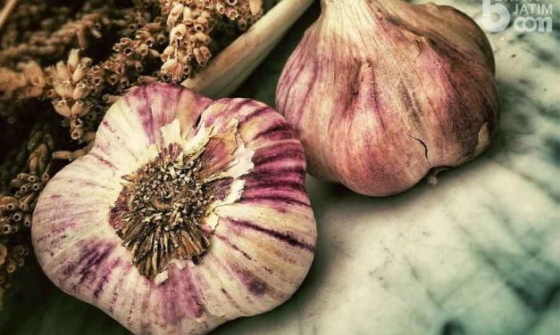Khasiat Bawang Lanang Bisa Bikin Tubuh Anda Sehat Dan Kuat!