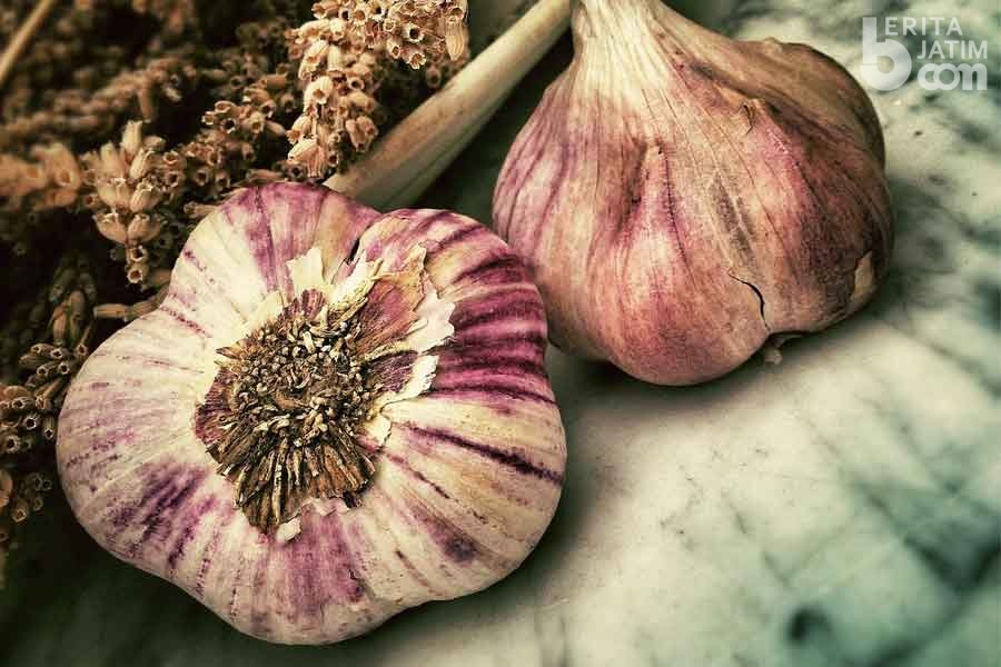Khasiat Bawang Lanang Bisa Bikin Tubuh Anda Sehat Dan Kuat!