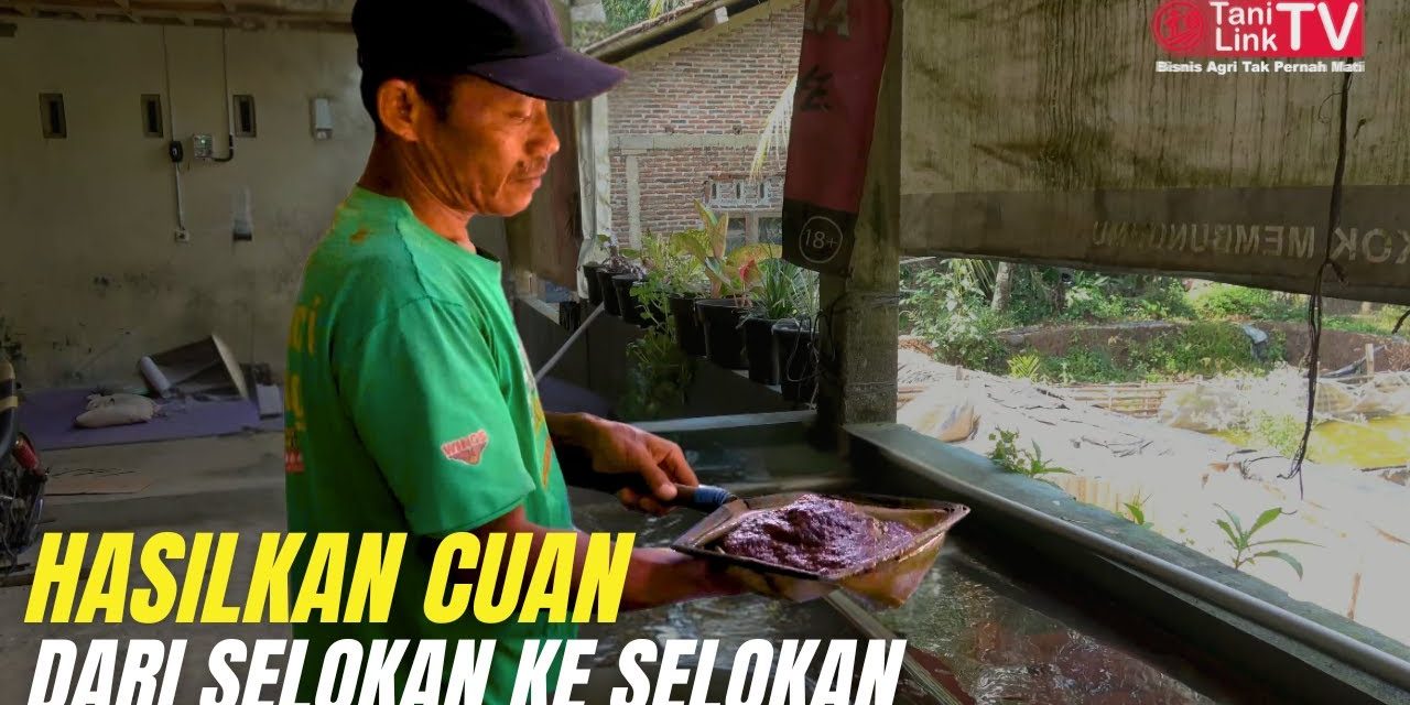 Ide Bisnis Cacing Tali: Peluang Usaha Yang Jarang Di Lirik