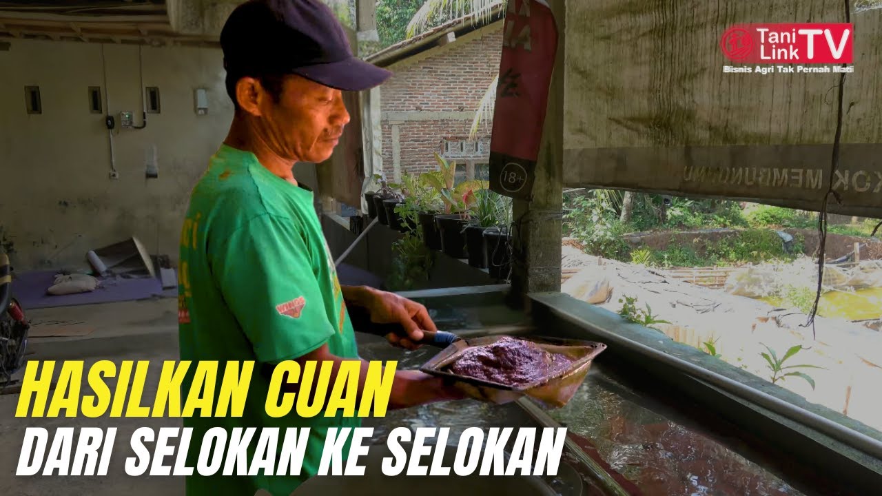 Ide Bisnis Cacing Tali