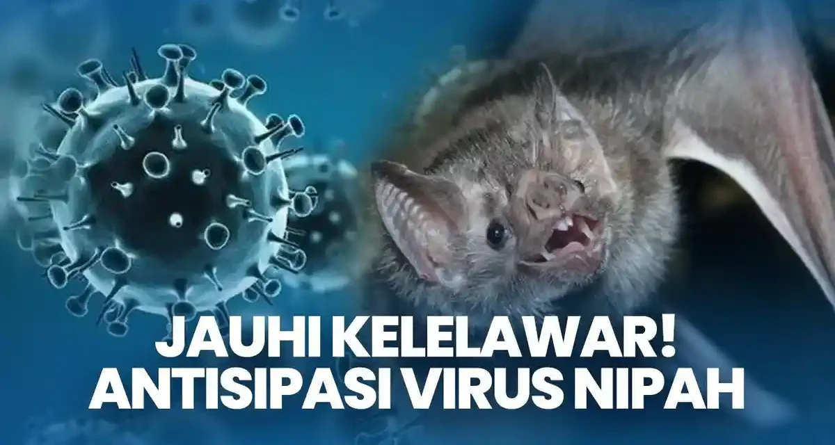 Kasus Meninggal Virus Nipah Di Bangladesh Di Laporkan WHO