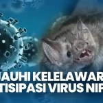 Kasus Meninggal Virus Nipah Di Bangladesh Di Laporkan WHO