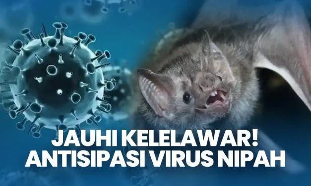 Kasus Meninggal Virus Nipah Di Bangladesh Di Laporkan WHO