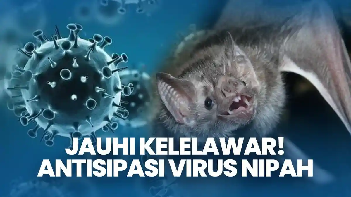 Kasus Meninggal