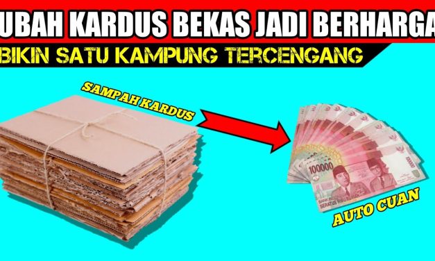 Peluang Bisnis Kardus Bekas Bisa Di Sulap Jadi Uang